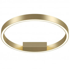 Потолочный светодиодный светильник Maytoni Technical Rim MOD058CL-L25BS4K