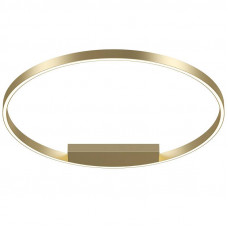 Потолочный светодиодный светильник Maytoni Technical Rim MOD058CL-L50BS4K
