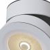 Накладной светильник Maytoni Technical Treviso C023CL-L20W