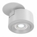 Накладной светильник Maytoni Technical Treo C063CL-L12W4K