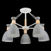 Потолочная люстра Freya Delia FR5033CL-05W