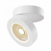 Накладной светильник Maytoni Technical Magic C022CL-L12W4K