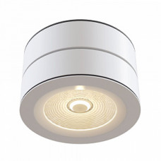 Накладной светильник Maytoni Technical Treviso C023CL-L20W4K
