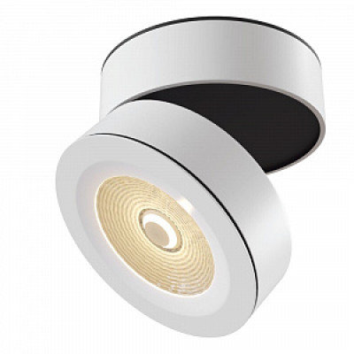 Накладной светильник Maytoni Technical Treviso C023CL-L20W