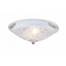 Потолочная люстра Maytoni Diametrik C907-CL-02-W