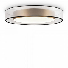 Потолочный светильник Freya Zoticus FR6005CL-L48G