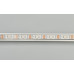 Светодиодная лента SPI-5000P-RAM-5060-30 12V Cx1 RGB-Auto (12mm, 4.8W/m, IP66) (Arlight, Закрытый, IP66)