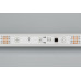 Светодиодная лента SPI-5000SE-5060-30 12V Cx3 RGB-Auto (10mm, 6.5W/m, IP65) (Arlight, Закрытый, IP65)