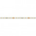 Светодиодная лента RT 2-5000 24V Cool 8K 1.6x (2835, 490 LED, PRO) (arlight, 10 Вт/м, IP20)