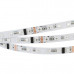 Светодиодная лента DMX-5000-5060-60 24V Cx6 RGB (12mm, 12.5W, IP20) (arlight, Открытый, IP20) Светодиодная лента DMX-5000-5060-60 24V Cx6 RGB (12mm, 12.5W, IP20) (arlight, Открытый, IP20)