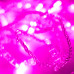 Светодиодная гирлянда ARD-STRING-CLASSIC-10000-CLEAR-100LED-STD PINK (230V, 7W) (Ardecoled, IP65)