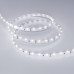 Светодиодная лента RS 2-5000 12V White6000 (3014, 60 LED/m, LUX) (arlight, 4.8 Вт/м, IP20)