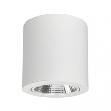 Накладной cветильник  Arlight SP-FOCUS-R140-30W 021066