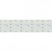 Светодиодная лента S2-2500 24V Day 4000K 59mm (2835, 420 LED/m, LUX) (arlight, 30 Вт/м, IP20)