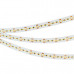 Светодиодная лента MICROLED-5000HP 24V Day5000 10mm (2216, 300 LED/m, LUX) (arlight, 21.6 Вт/м, IP20) Светодиодная лента MICROLED-5000HP 24V Day5000 10mm (2216, 300 LED/m, LUX) (arlight, 21.6 Вт/м, IP20)