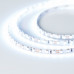 Светодиодная лента RT 2-5000 24V Cool 15K 5mm 2x (3528, 600 LED, LUX) (arlight, 9.6 Вт/м, IP20)