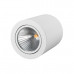 Накладной cветильник  Arlight SP-FOCUS 021065