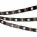 Светодиодная лента SPI-5000-RAM-5060-30 12V Cx1 RGB-Auto (Black 10mm, 4.8W/m, IP20) (Arlight, Открытый, IP20) Светодиодная лента SPI-5000-RAM-5060-30 12V Cx1 RGB-Auto (Black 10mm, 4.8W/m, IP20) (Arlight, Открытый, IP20)
