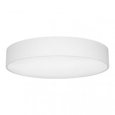 Потолочный светодиодный светильник Arlight  SP-TOR-PILL-R600-50W  022131(2)