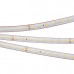 Светодиодная лента герметичная RTW-PS-A80-10mm 24V Warm3000 (6 W/m, IP67, 2835, 5m) (arlight, высок.эфф.150 лм/Вт)