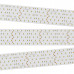 Светодиодная лента RT 2-2500 24V Cool 8K 5x2 (2835, 875 LED, LUX) (arlight, 36 Вт/м, IP20) Светодиодная лента RT 2-2500 24V Cool 8K 5x2 (2835, 875 LED, LUX) (arlight, 36 Вт/м, IP20)
