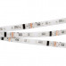 Светодиодная лента DMX-5000SE 24V RGB (5060, 300 LEDx6) (arlight, Закрытый, IP65) Светодиодная лента DMX-5000SE 24V RGB (5060, 300 LEDx6) (arlight, Закрытый, IP65)