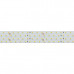Светодиодная лента RT 2-2500 24V Day5000 4x2 (2835, 700 LED, CRI98) (arlight, 30 Вт/м, IP20)