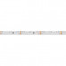 Светодиодная лента RS 2-5000 12V Day5000 (3014, 60 LED/m, LUX) (arlight, 4.8 Вт/м, IP20)